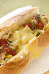 Image showing Melted Cheese Hot Dog