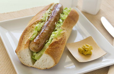 Image showing Pork And Cabbage Hot Dog