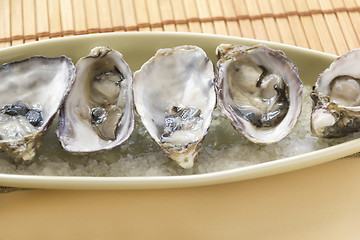 Image showing Oysters Natural