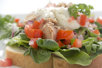 Image showing Open Tuna Salad Sandwich