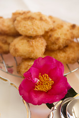 Image showing Camellia And Macaroons