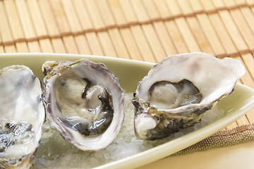 Image showing Oysters Natural