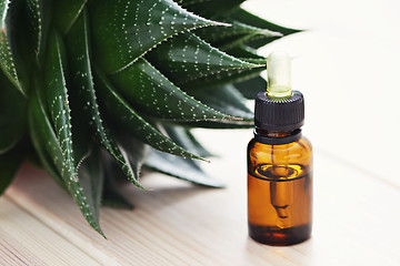 Image showing aloe vera essential oil