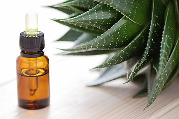 Image showing aloe vera essential oil