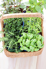 Image showing basket of herbs