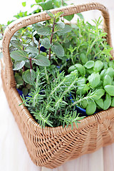 Image showing basket of herbs