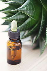 Image showing aloe vera essential oil