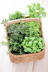 Image showing basket of herbs