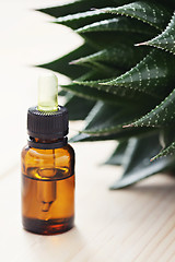 Image showing aloe vera essential oil