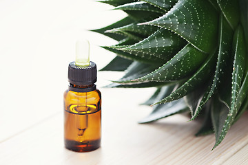 Image showing aloe vera essential oil