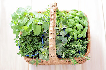 Image showing basket of herbs