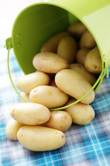 Image showing potatoes