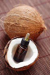 Image showing coconut essential oil