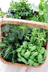 Image showing basket of herbs