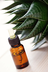 Image showing aloe vera essential oil