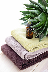 Image showing aloe vera essential oil