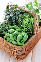 Image showing basket of herbs