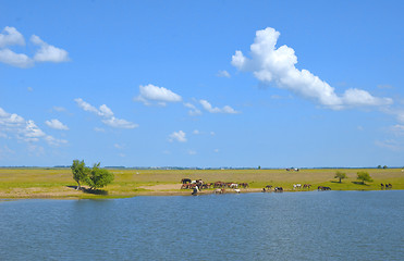 Image showing pasture