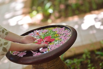 Image showing female hand and flower in water