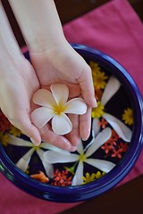 Image showing female hand and flower in water