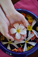 Image showing female hand and flower in water