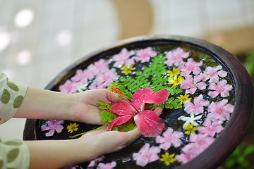 Image showing female hand and flower in water