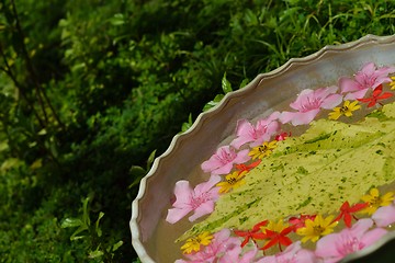 Image showing water cup with beautiful flowers background