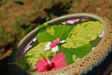 Image showing water cup with beautiful flowers background