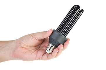 Image showing Black (UV) fluorescent lamp with e27 base in hand