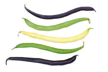 Image showing Purple, green and yellow Wax Snap Beans