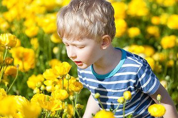 Image showing boy at flower field