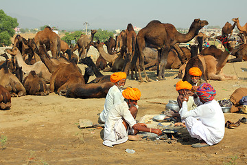 Image showing Pushkar Camel Fair - sellers of camels during festival