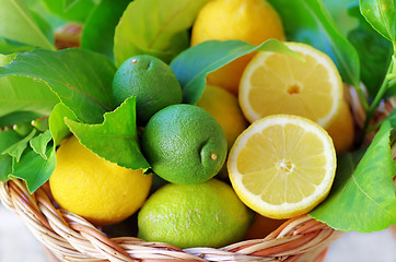 Image showing Slices of ripe lemons on basket
