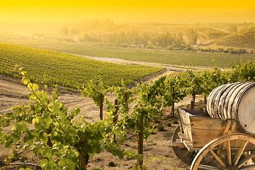 Image showing Grape Vineyard with Old Barrel Carriage Wagon
