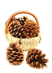 Image showing Pine cones.