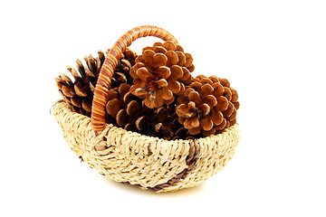 Image showing Pine cones in a basket.