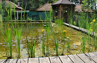 Image showing House garden with small pond
