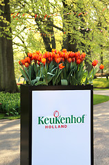 Image showing Park Keukenhof, Holland