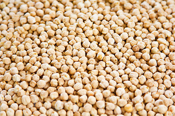 Image showing Chickpea 