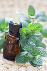 Image showing mint essential oil