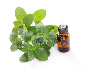 Image showing mint essential oil