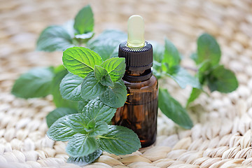 Image showing mint essential oil