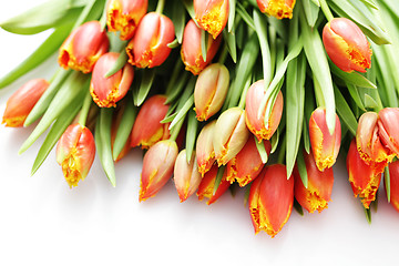 Image showing lovely tulips