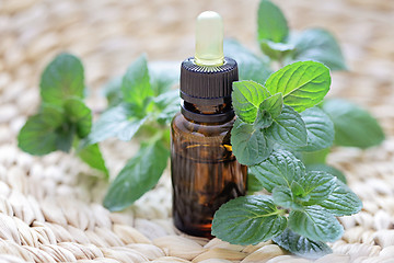 Image showing mint essential oil