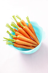 Image showing fresh carrots