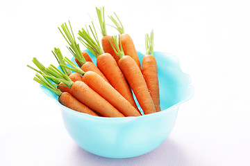 Image showing fresh carrots