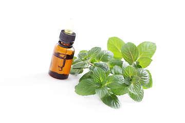 Image showing mint essential oil