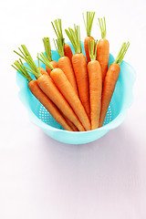 Image showing fresh carrots