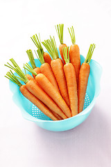 Image showing fresh carrots