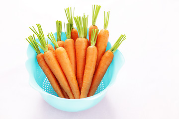 Image showing fresh carrots